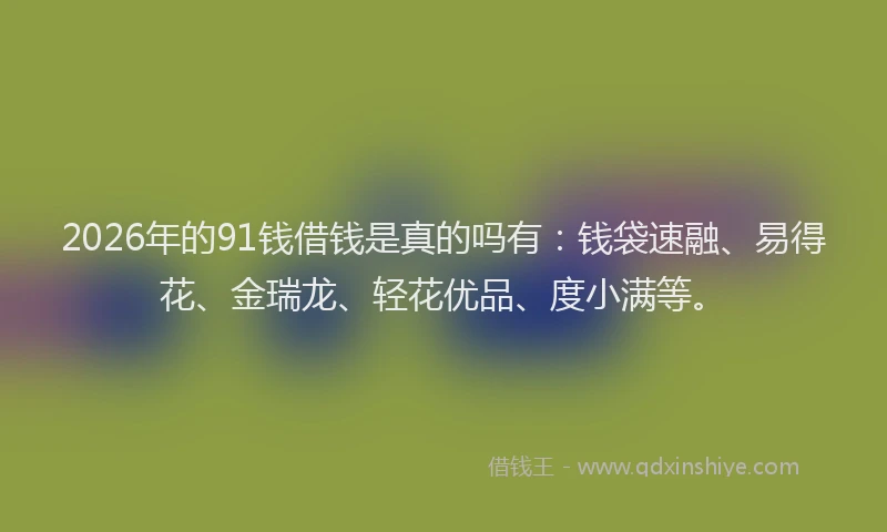 2026年的91钱借钱是真的吗有:钱袋速融、易得花、金瑞龙、轻花优品、度小满等。