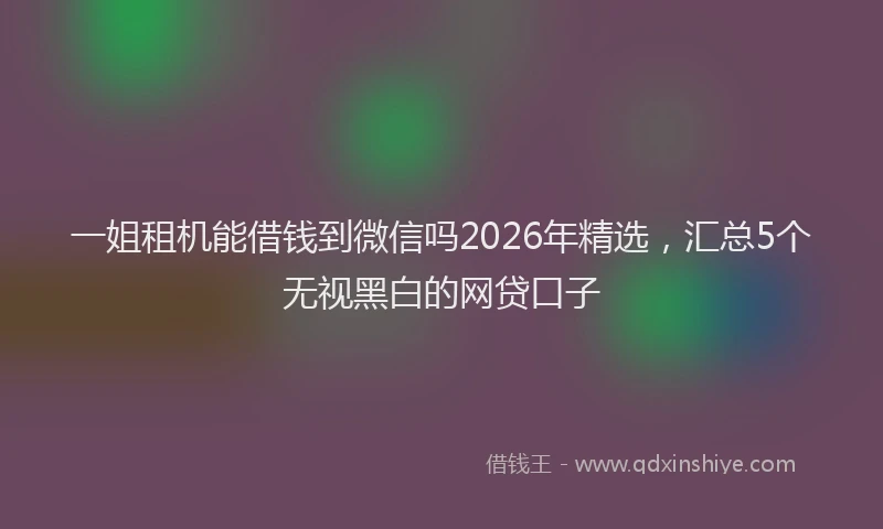 一姐租机能借钱到微信吗2026年精选,汇总5个无视黑白的网贷口子