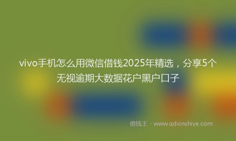 vivo手机怎么用微信借钱2025年精选，分享5个无视逾期大数据花户黑户口子