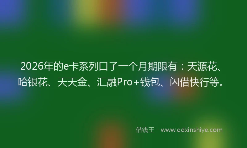 2026年的e卡系列口子一个月期限有：天源花、哈银花、天天金、汇融Pro+钱包、闪借快行等。