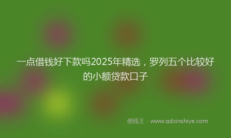 一点借钱好下款吗2025年精选，罗列五个比较好的小额贷款口子