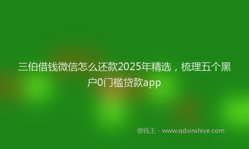 三伯借钱微信怎么还款2025年精选，梳理五个黑户0门槛贷款app
