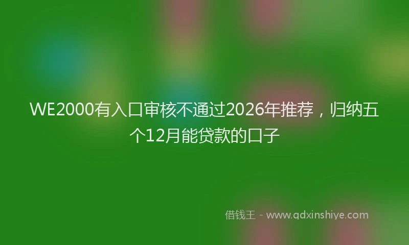 WE2000有入口审核不通过2026年推荐，归纳五个12月能贷款的口子