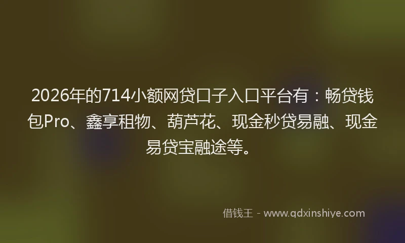 2026年的714小额网贷口子入口平台有:畅贷钱包Pro、鑫享租物、葫芦花、现金秒贷易融、现金易贷宝融途等。