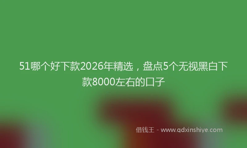 51哪个好下款2026年精选，盘点5个无视黑白下款8000左右的口子