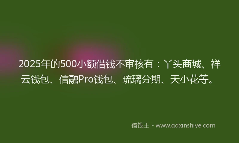 2025年的500小额借钱不审核有：丫头商城、祥云钱包、信融Pro钱包、琉璃分期、天小花等。