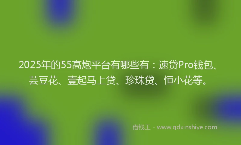 2025年的55高炮平台有哪些有：速贷Pro钱包、芸豆花、壹起马上贷、珍珠贷、恒小花等。