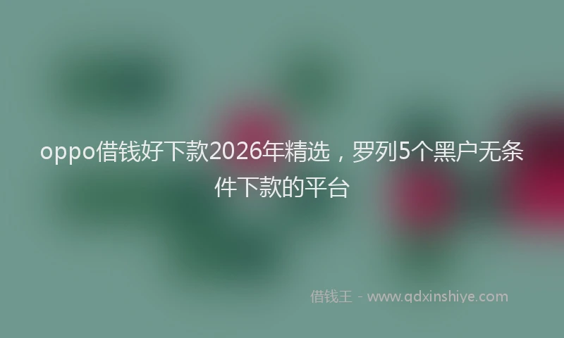 oppo借钱好下款2026年精选，罗列5个黑户无条件下款的平台