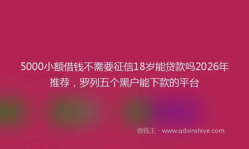 5000小额借钱不需要征信18岁能贷款吗2026年推荐，罗列五个黑户能下款的平台