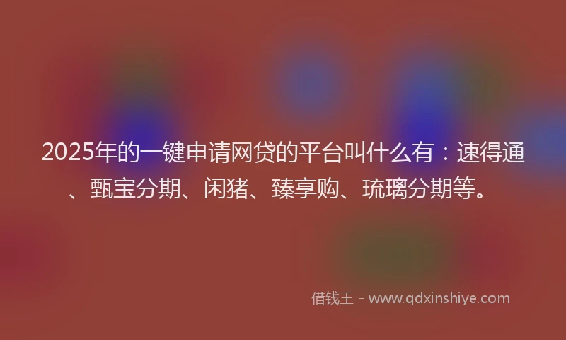 2025年的一键申请网贷的平台叫什么有：速得通、甄宝分期、闲猪、臻享购、琉璃分期等。