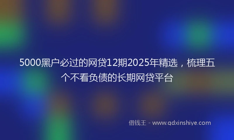 5000黑户必过的网贷12期2025年精选,梳理五个不看负债的长期网贷平台