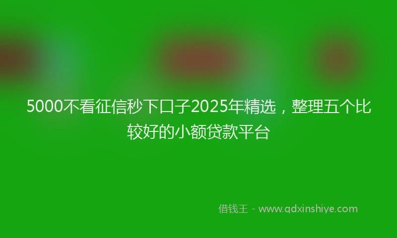5000不看征信秒下口子2025年精选,整理五个比较好的小额贷款平台
