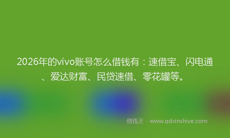 2026年的vivo账号怎么借钱有：速借宝、闪电通、爱达财富、民贷速借、零花罐等。