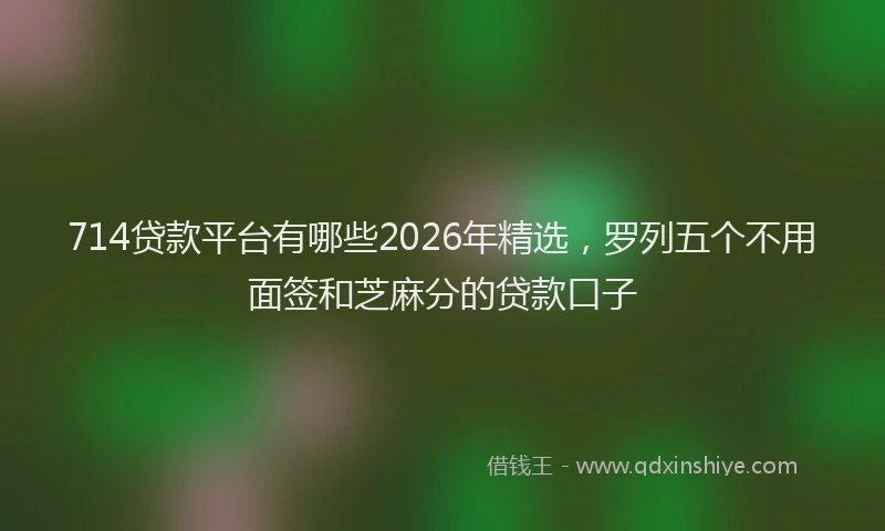 714贷款平台有哪些2026年精选，罗列五个不用面签和芝麻分的贷款口子