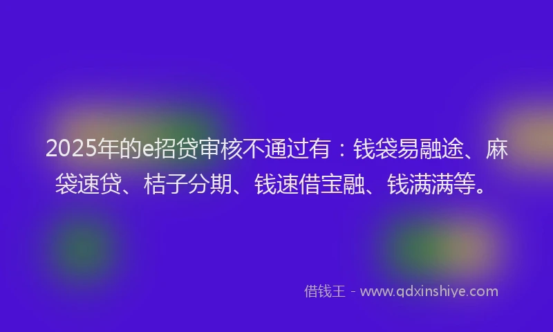 2025年的e招贷审核不通过有：钱袋易融途、麻袋速贷、桔子分期、钱速借宝融、钱满满等。