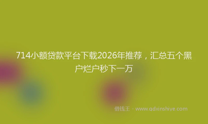 714小额贷款平台下载2026年推荐，汇总五个黑户烂户秒下一万