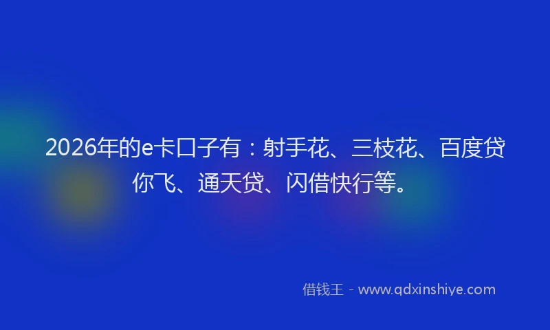 2026年的e卡口子有：射手花、三枝花、百度贷你飞、通天贷、闪借快行等。