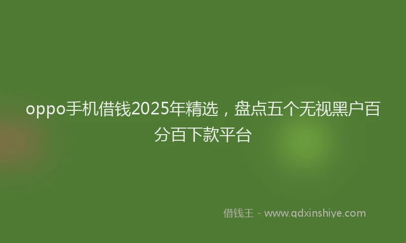 oppo手机借钱2025年精选，盘点五个无视黑户百分百下款平台