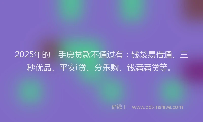 2025年的一手房贷款不通过有：钱袋易借通、三秒优品、平安i贷、分乐购、钱满满贷等。
