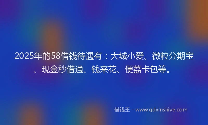 2025年的58借钱待遇有：大城小爱、微粒分期宝、现金秒借通、钱来花、便荔卡包等。
