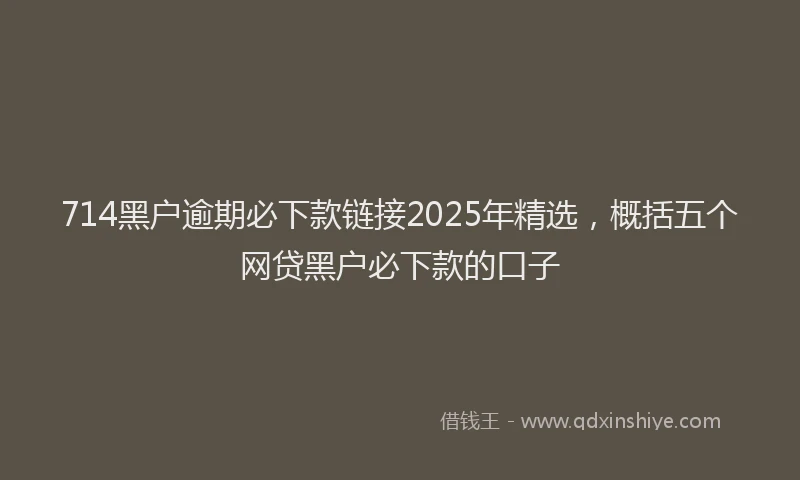 714黑户逾期必下款链接2025年精选，概括五个网贷黑户必下款的口子