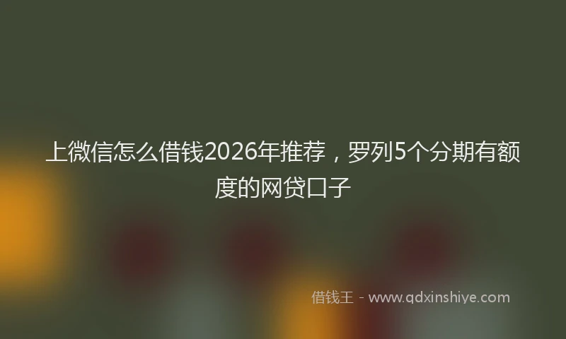 上微信怎么借钱2026年推荐，罗列5个分期有额度的网贷口子