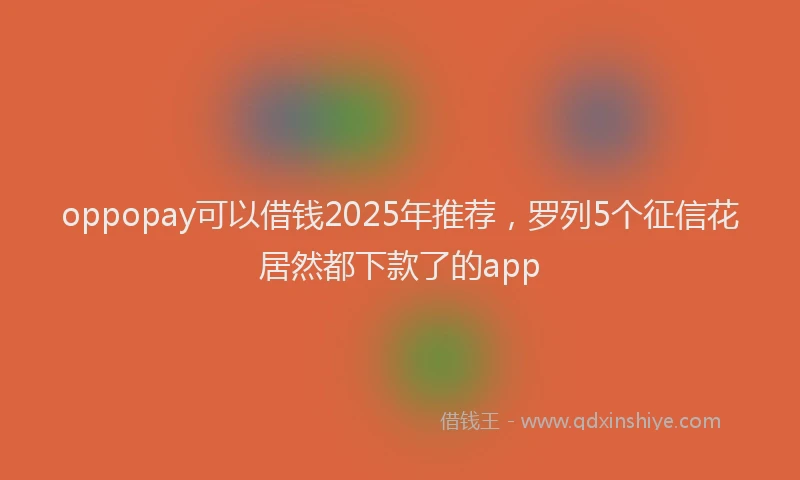 oppopay可以借钱2025年推荐,罗列5个征信花居然都下款了的app