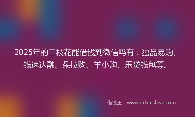 2025年的三枝花能借钱到微信吗有：独品易购、钱速达融、朵拉购、羊小购、乐贷钱包等。
