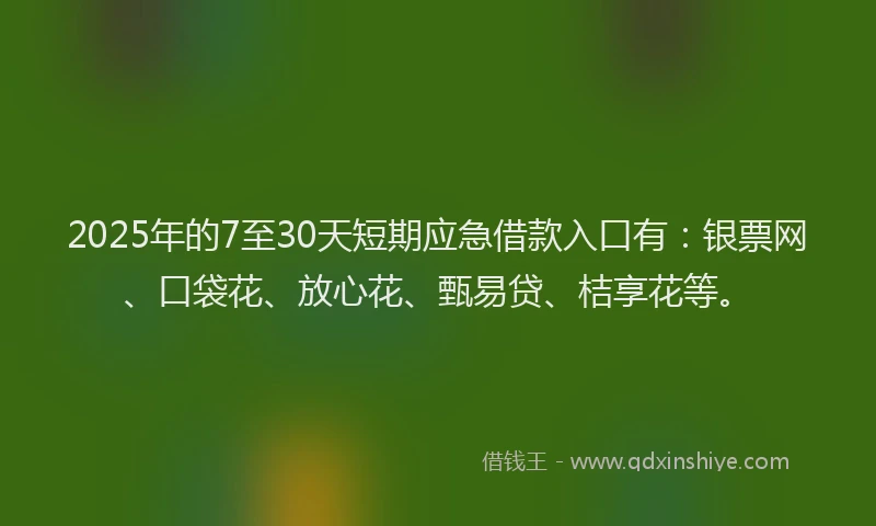 2025年的7至30天短期应急借款入口有：银票网、口袋花、放心花、甄易贷、桔享花等。