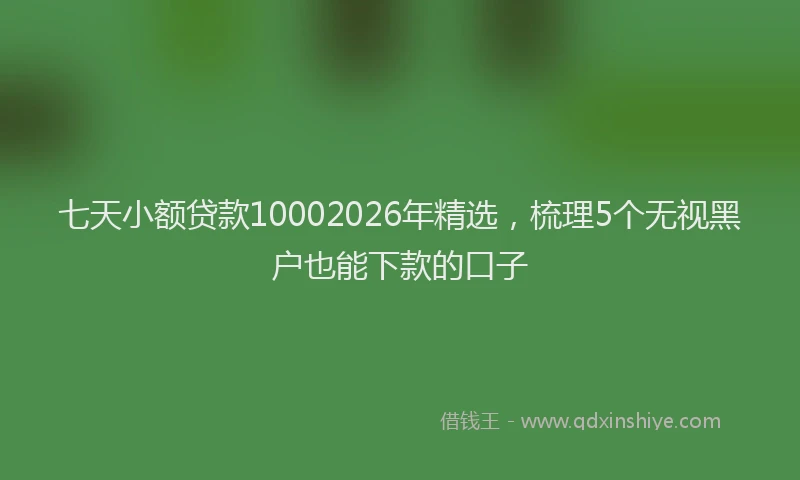 七天小额贷款10002026年精选，梳理5个无视黑户也能下款的口子