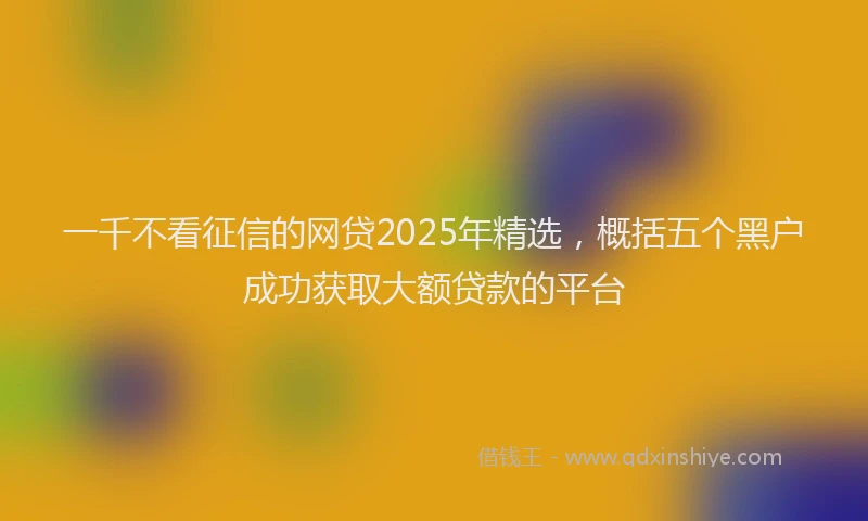 一千不看征信的网贷2025年精选，概括五个黑户成功获取大额贷款的平台