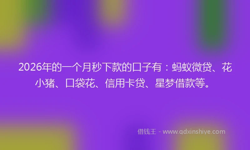 2026年的一个月秒下款的口子有：蚂蚁微贷、花小猪、口袋花、信用卡贷、星梦借款等。