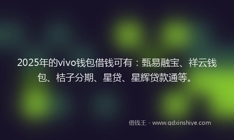 2025年的vivo钱包借钱可有：甄易融宝、祥云钱包、桔子分期、星贷、星辉贷款通等。