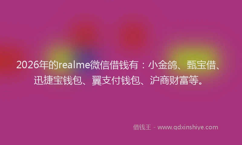 2026年的realme微信借钱有：小金鸽、甄宝借、迅捷宝钱包、翼支付钱包、沪商财富等。