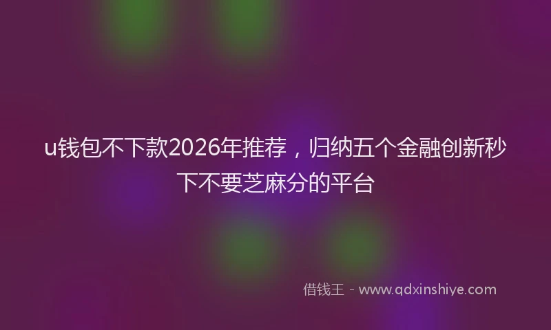 u钱包不下款2026年推荐,归纳五个金融创新秒下不要芝麻分的平台