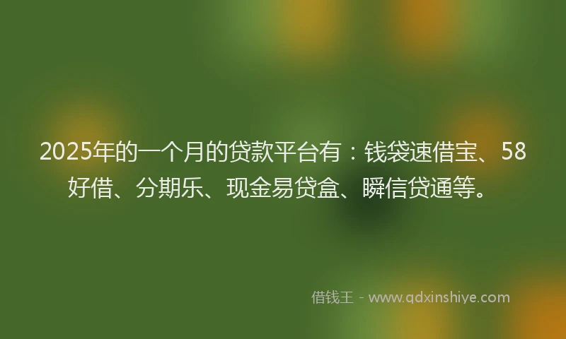 2025年的一个月的贷款平台有：钱袋速借宝、58好借、分期乐、现金易贷盒、瞬信贷通等。