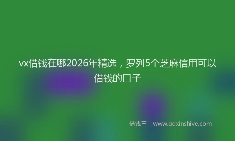 vx借钱在哪2026年精选,罗列5个芝麻信用可以借钱的口子