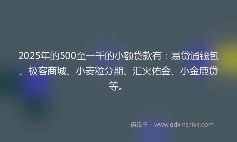 2025年的500至一千的小额贷款有：易贷通钱包、极客商城、小麦粒分期、汇火佑金、小金鹿贷等。