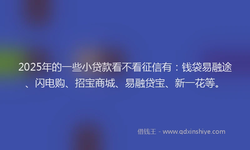 2025年的一些小贷款看不看征信有：钱袋易融途、闪电购、招宝商城、易融贷宝、新一花等。