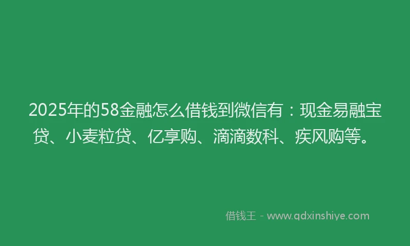 2025年的58金融怎么借钱到微信有：现金易融宝贷、小麦粒贷、亿享购、滴滴数科、疾风购等。