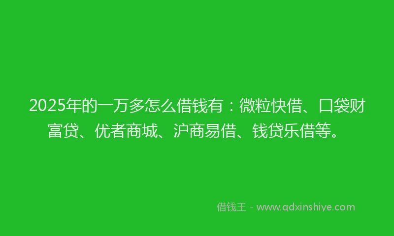 2025年的一万多怎么借钱有：微粒快借、口袋财富贷、优者商城、沪商易借、钱贷乐借等。