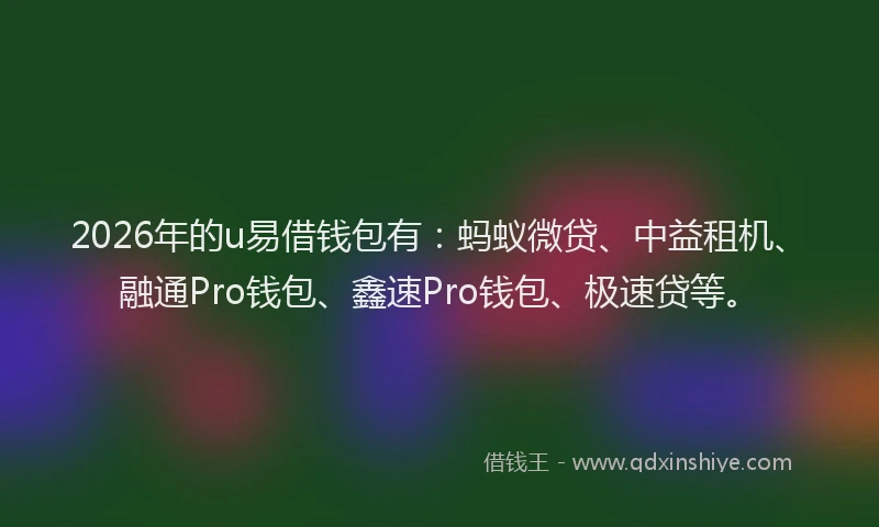 2026年的u易借钱包有：蚂蚁微贷、中益租机、融通Pro钱包、鑫速Pro钱包、极速贷等。