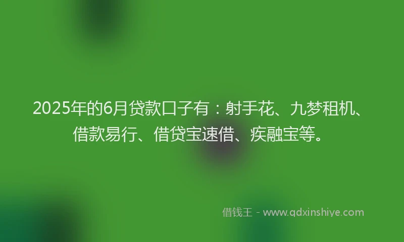 2025年的6月贷款口子有：射手花、九梦租机、借款易行、借贷宝速借、疾融宝等。