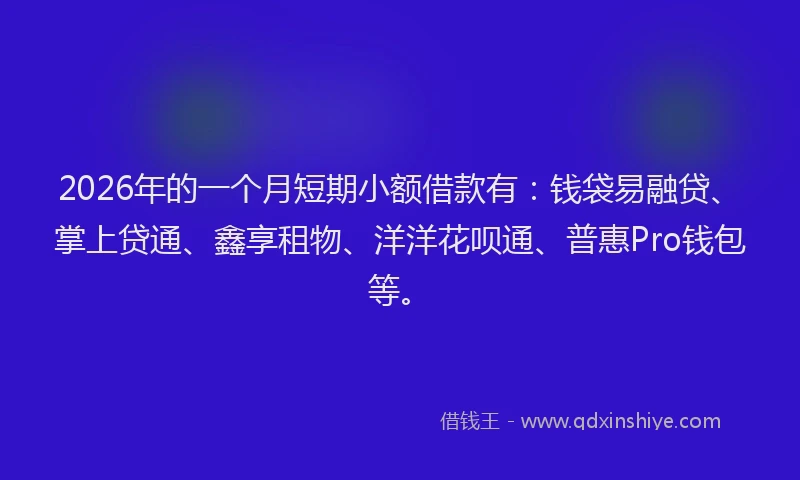 2026年的一个月短期小额借款有：钱袋易融贷、掌上贷通、鑫享租物、洋洋花呗通、普惠Pro钱包等。