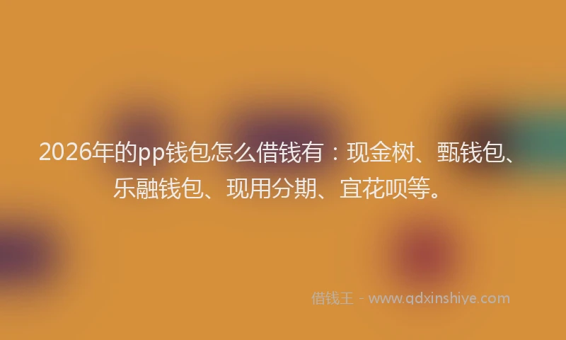 2026年的pp钱包怎么借钱有：现金树、甄钱包、乐融钱包、现用分期、宜花呗等。