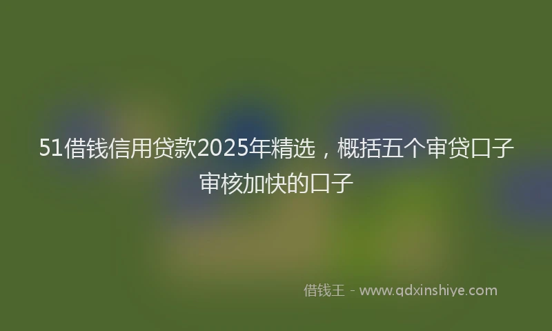51借钱信用贷款2025年精选，概括五个审贷口子审核加快的口子