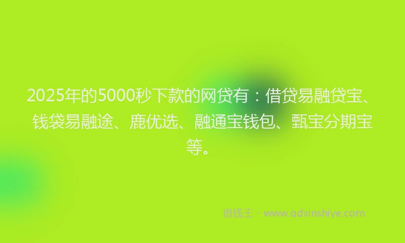 2025年的5000秒下款的网贷有:借贷易融贷宝、钱袋易融途、鹿优选、融通宝钱包、甄宝分期宝等。
