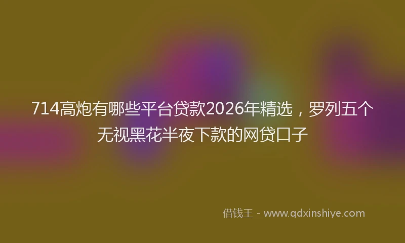 714高炮有哪些平台贷款2026年精选，罗列五个无视黑花半夜下款的网贷口子