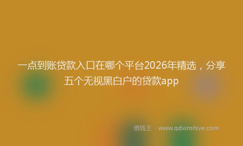 一点到账贷款入口在哪个平台2026年精选，分享五个无视黑白户的贷款app
