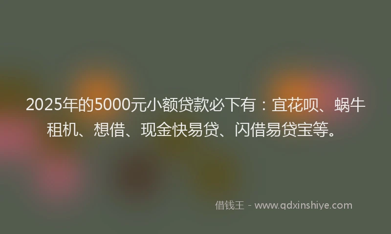 2025年的5000元小额贷款必下有：宜花呗、蜗牛租机、想借、现金快易贷、闪借易贷宝等。